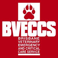 emergency vet brisbane