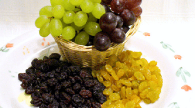 Dangers of Sultanas, Raisins and grapes for dogs