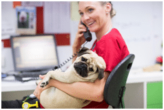 dog vet on phone